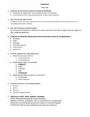 Cuestionario “YO – YO”