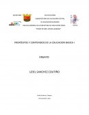 PROPÓSITOS Y CONTENIDOS DE LA EDUCACION BASICA