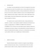 CASO EMPRESA COLOMBIANA DE CORTINAS Y ALFOMBRAS LTDA,