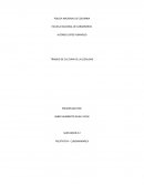 EL BUEN USO DE LOS UNIFORMES E INSIGNIAS POLICIALES