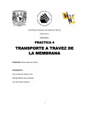TRANSPORTE A TRAVEZ DE LA MEMBRANA