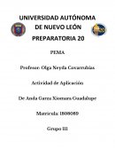 Reseña del vídeo de Annie Leonard