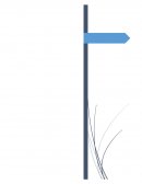 Neuromarketing y toma de las decisiones