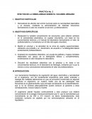 EFECTOS DE LA OSMOLARIDAD SOBRE EL VOLUMEN URINARIO