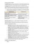 Resumen gestión contable