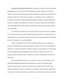 Ensayo de La mariposa magica