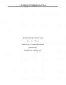 IDENTIFIANDO EL MEJOR CANAL. COMUNICACIÓN ORGANIZACIONAL