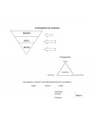 Triangulación. Interrogantes a construir al final del planteamiento de un problema