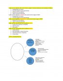 Cuales son los objetivos del control interno según el Instituto Mexicano de Contadores Públicos