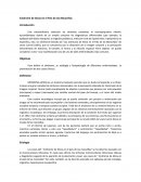 El Sindrome de Alicia en el Paiz de las Maravillas