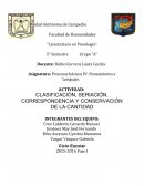 CLASIFICACIÓN, SERIACIÓN, CORRESPONDENCIA Y CONSERVACIÓN DE LA CANTIDAD.