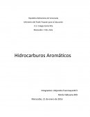 Investigacion de diez hidrocarburos aromáticos presentes en la naturaleza