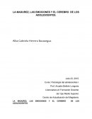 LA MADUREZ, LAS EMOCIONES Y EL CEREBRO DE LOS ADOLESCENTES