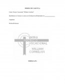 EL FORMATO APA CTVWC