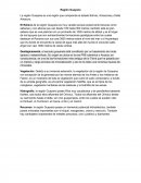 La región Guayana es una región que comprende el estado Bolívar, Amazonas y Delta Amacuro.