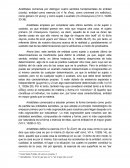 Metafísica (apuntes)