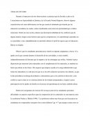 COMO ES EL TEMA DE ESTUDIO