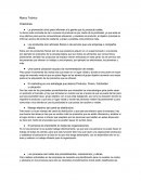 Marco Teórico Oraciones