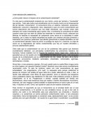 Contaminacion ambiental ¿Cómo poder reducir el impacto de la contaminación ambiental?