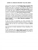 LEONES Y EL HOGAR DE ANCIANOS “VILLA DEL CERRO”