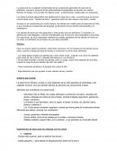 La salud oral es un aspecto fundamental