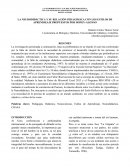 LA NEURODIDÁCTICA Y SU RELACIÓN PEDAGÓGICA CON LOS ESTILOS DE APRENDIZAJE PROPUESTOS POR HONEY-ALONSO