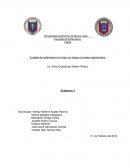Cuidado de enfermería a la mujer en riesgo a la salud reproductiva.