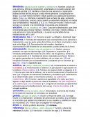 Ensayo de el Apocalipcis