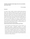 Pluralismo emancipador, derecho al agua y buen vivir un acercamiento desde América Latina