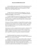 COMO ES EL TRABAJO BIORREMEDIACIÓN