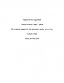 Tarea 1 Técnicas de prevención de riesgos en sector productivo