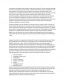 Reflexion historia XD