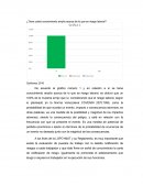 ¿Tiene usted conocimiento amplio acerca de lo que es riesgo laboral?