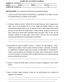 EXAMEN FINAL DE CIENCIAS III (QUÍMICA)