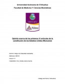 Opinión acerca de los primeros 31 artículos de la constitución de los Estados Unidos Mexicanos