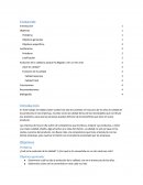 La gran Evolucion de la calidad