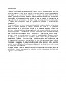 La seguridad social en México - Ensayo