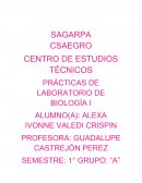 Practica de bilogia (microscopio)