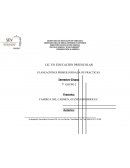 PLANEACIÓNES PRIMER JORNADA DE PRACTICAS