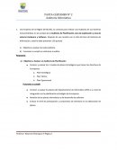 Pauta de Auditoria informatica