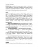 Caso: Zebra National Bank