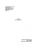 Tenis 2000 una mediana empresa que le brinda a todos sus clientes calzado deportivo