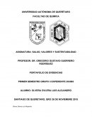 Salud, Valores Y sustentabilidad