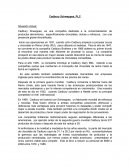 Caso Cadbury Schweppes, PLC