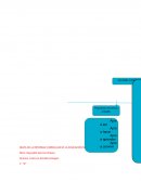 MAPA DE LA REFORMA CURRICULAR DE LA EDUCACION NORMAL.