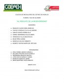 PLANTEL TULA DE ALLENDE “AL RESCATE DE LA BIODIVERSIDAD”