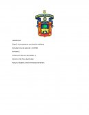 Matriz Relaciones causa-efecto .