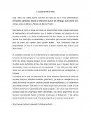 La culpa es de la vaca. Reseña