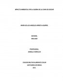 IMPACTO AMBIENTAL POR LA QUEMA DE LA CAÑA DE AZÚCAR