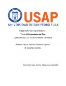 El Emprendedor del Exito